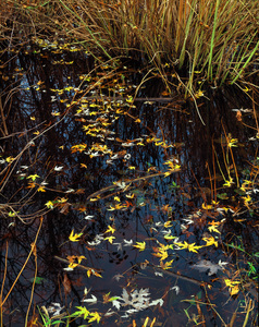 Jeffrey Vaughn Landscape Photograph