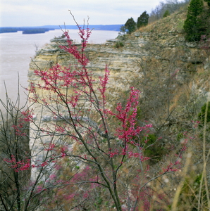 Jeffrey Vaughn Alton Bluffs Photograph