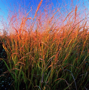 Jeffrey Vaughn Landscape Photograph