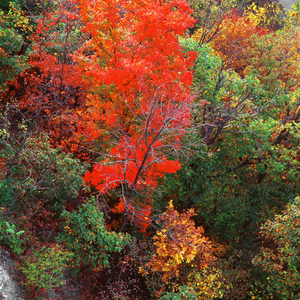 Jeffrey Vaughn Alton Bluffs Photograph