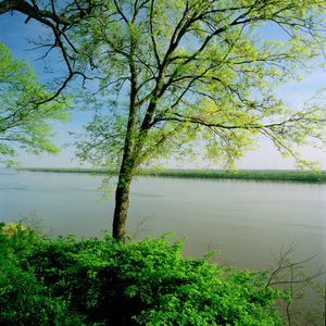 Jeffrey Vaughn Alton Bluffs Photograph