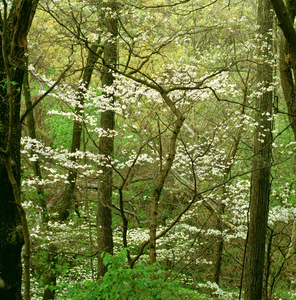 Jeffrey Vaughn Landscape Photograph