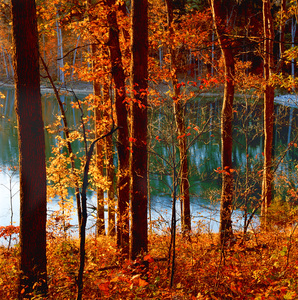 Jeffrey Vaughn Landscape Photograph