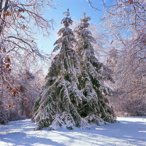 Jeffrey Vaughn Landscape Photograph