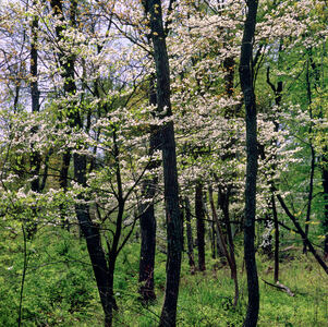 Jeffrey Vaughn Landscape Photograph