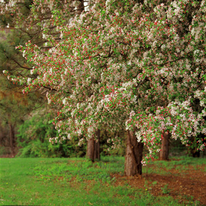 Jeffrey Vaughn Landscape Photograph