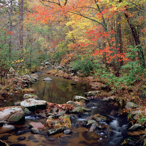 Jeffrey Vaughn Landscape Photograph