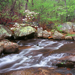 Jeffrey Vaughn Landscape Photograph