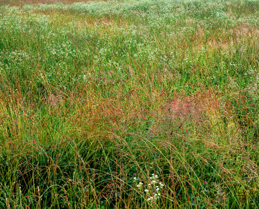 Jeffrey Vaughn Landscape Photograph