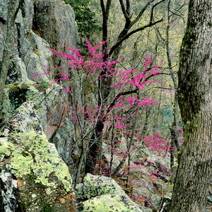 Jeffrey Vaughn Landscape Photograph