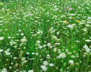 Jeffrey Vaughn Landscape Photograph