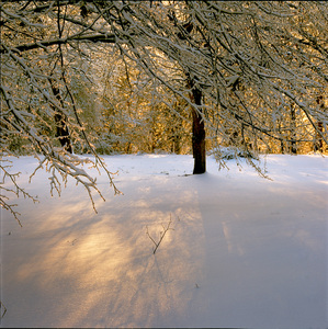 Jeffrey Vaughn Landscape Phootographs