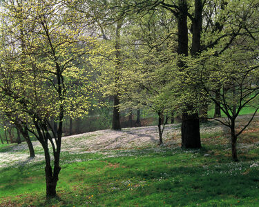 Jeffrey Vaughn Landscape Photograph