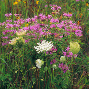 Jeffrey Vaughn Landscape Photograph