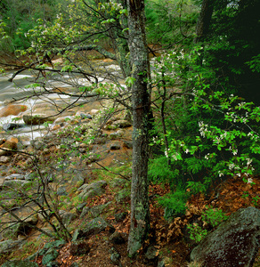 Jeffrey Vaughn Landscape Photograph