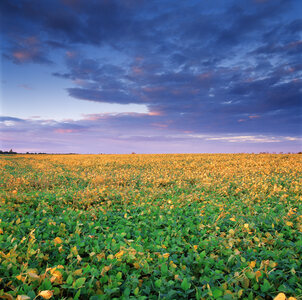 Jeffrey Vaughn Landscape Photograph