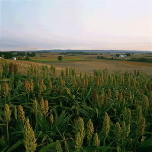 Jeffrey Vaughn Landscape Photograph