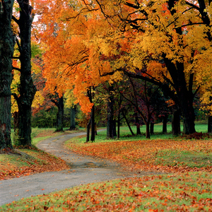 Jeffrey Vaughn Landscape Photograph