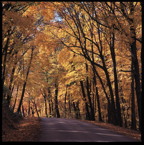 Jeffrey Vaughn Landscape Photograph