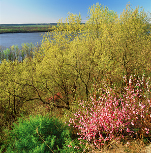 Jeffrey Vaughn Landscape Photograph