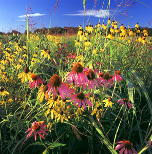 Jeffrey Vaughn Landscape Photograph