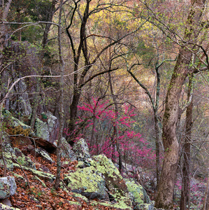 Jeffrey Vaughn Landscape Photograph