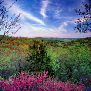 Jeffrey Vaughn Landscape Photograph