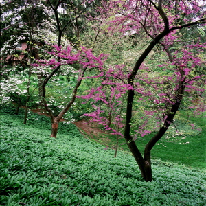 Jeffrey Vaughn Landscape Photograph