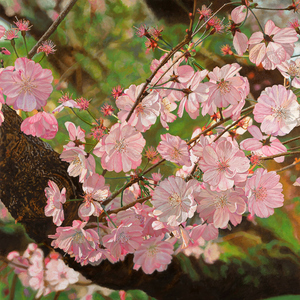 Jeffrey Vaughn 2025-2024 Oil on canvas