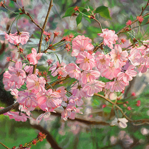 Jeffrey Vaughn 2025-2024 Oil and acrylic on canvas