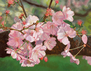 Jeffrey Vaughn 2026-2024 Oil on canvas