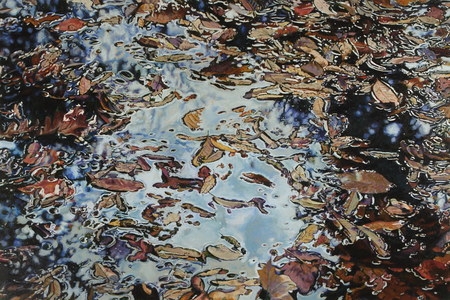 Jeffrey Vaughn 2011-2008 Oil on canvas