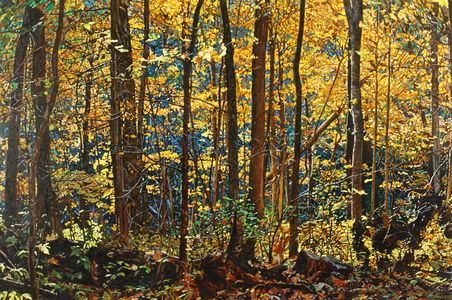 Jeffrey Vaughn 2011-2008 Oil on canvas