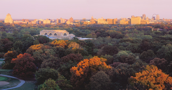 Jeffrey Vaughn City Photograph