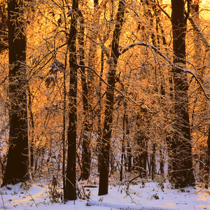 Jeffrey Vaughn Landscape Photograph