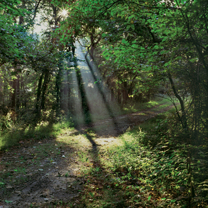 Jeffrey Vaughn Landscape Photograph