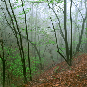 Jeffrey Vaughn Landscape Photograph