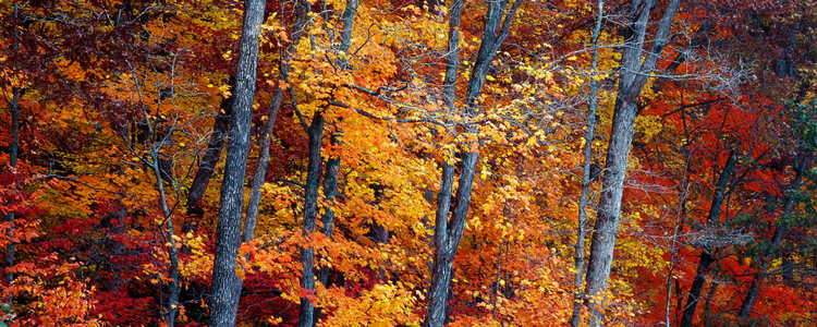 Jeffrey Vaughn Landscape Photograph