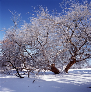 Jeffrey Vaughn Landscape Photograph