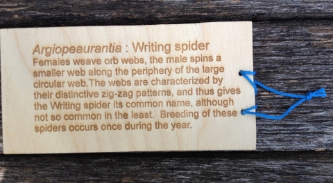  s i t e specific engraved wood