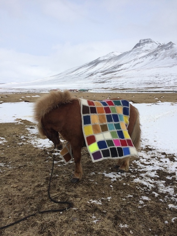 J E N   P E P P E R  Development of Color Ranges through the Ages Icelandic wool knit, felted + worn