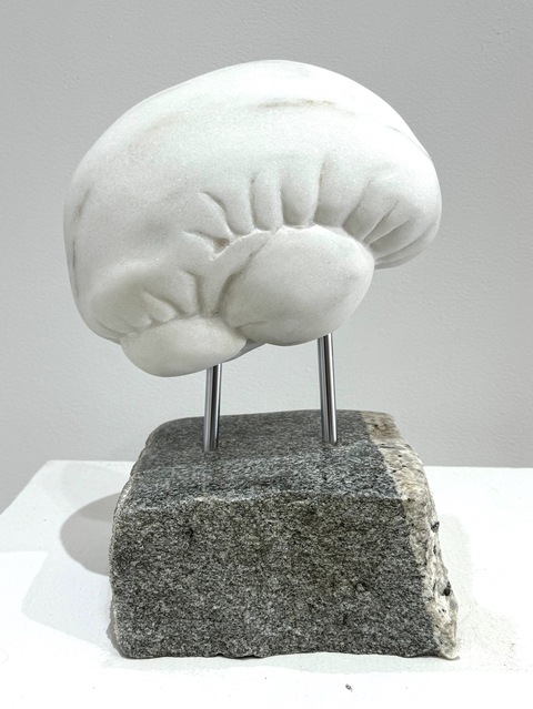  Stone Brain Danby marble, stainless pins + Belgian granite
