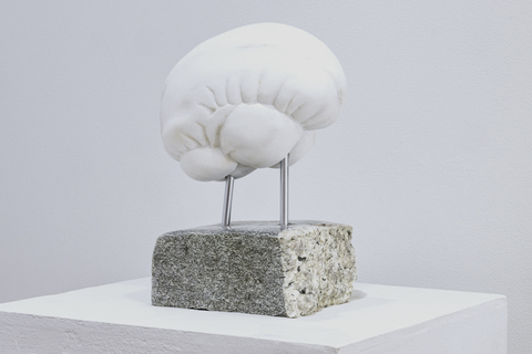  Stone Brain Danby marble, stainless pins + Belgian granite
