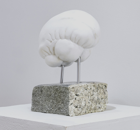  Stone Brain Danby marble, stainless pins + Belgian granite