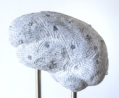  Stone Brain Rutland grey marble, Swarovski crystals, stainless steel pins mounted in Belgium granite
