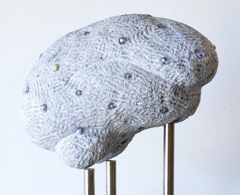  Stone Brain Rutland grey marble, Swarovski crystals, stainless steel pins mounted in Belgium granite