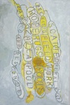 Carousel artwork image 850