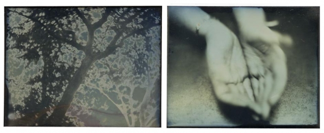 Jeri Coppola collage and alternative process Baequerel daguerreotype