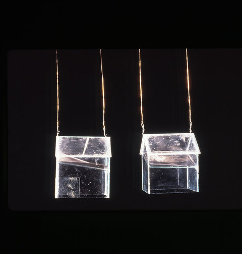 Jeri Coppola Older work 2  4 x 5 negative, glass and copper wire