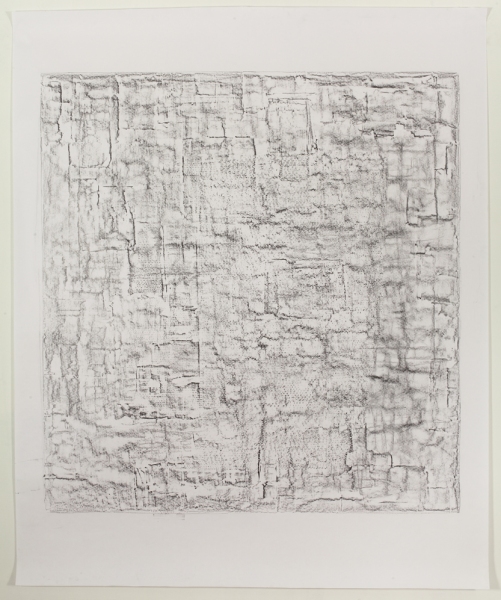 JESSICA DICKINSON remainders  graphite on paper 